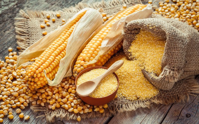 Corn groats and seeds, corncobs on wooden rustic table. Selective focus